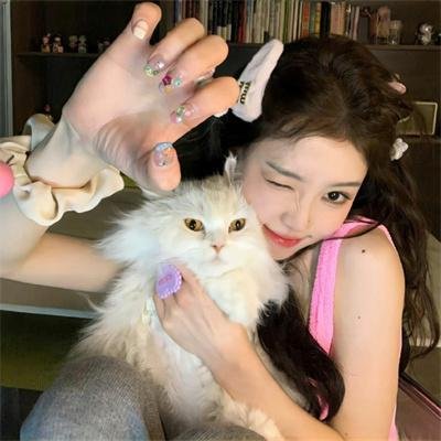 杰和沉默鲍伯的反击